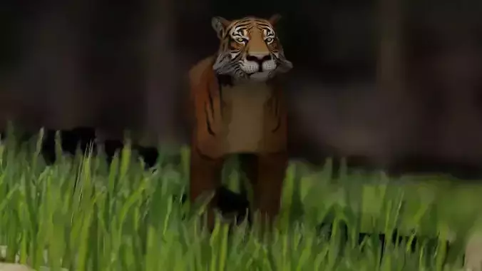 semi-realistic tiger 3d model