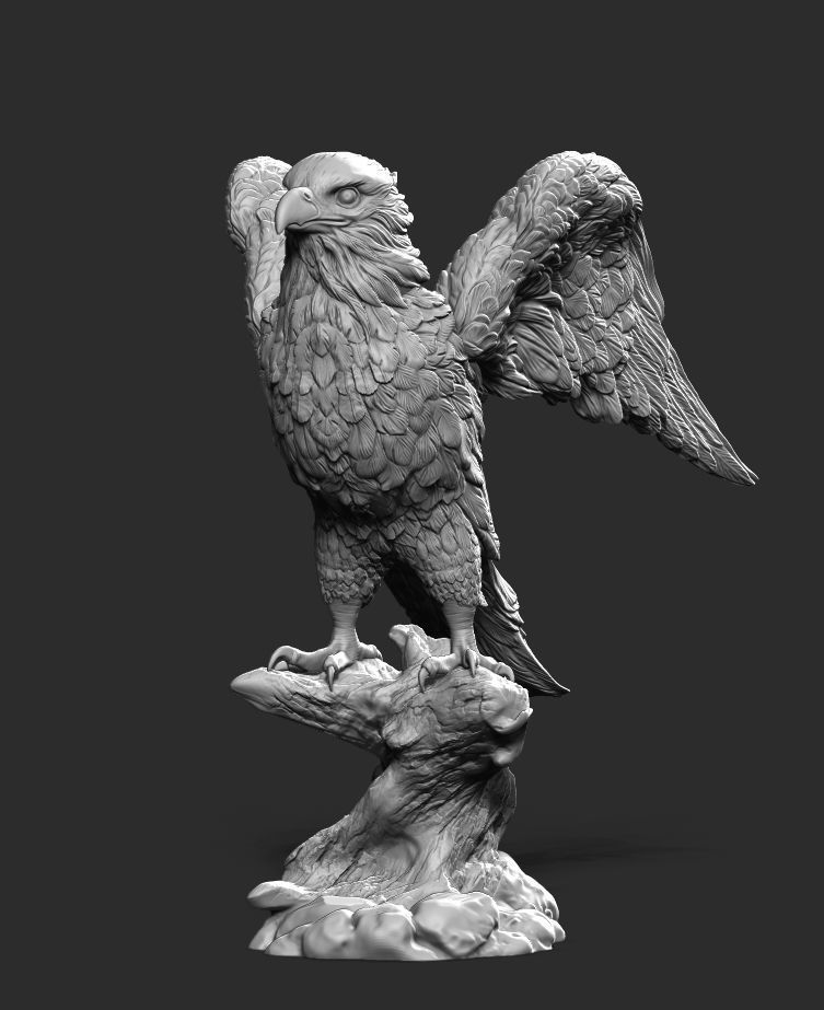 Falcon eagle 3D print model_1