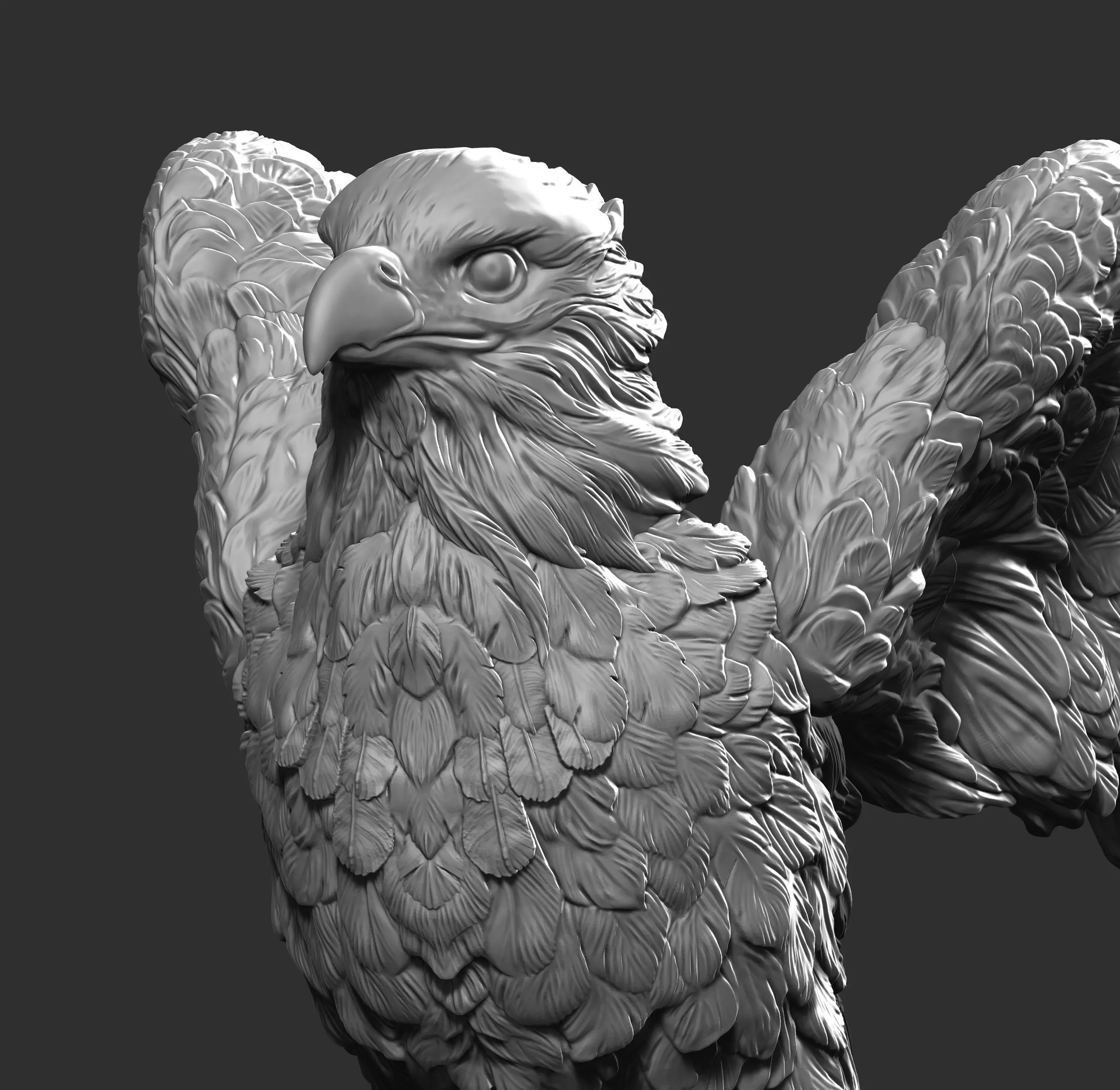 Falcon eagle 3D print model_0