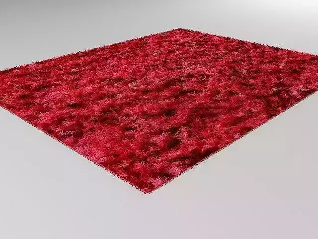 Shag rug 3D model