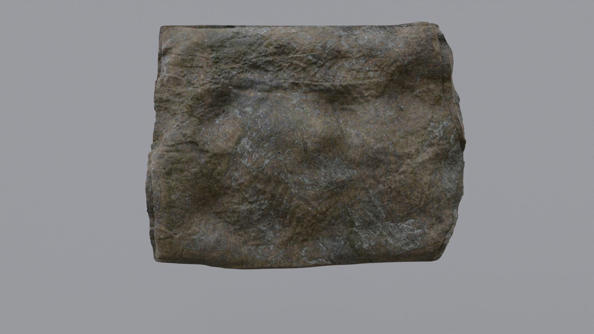 Ancient Plant Fossil 3D model_2