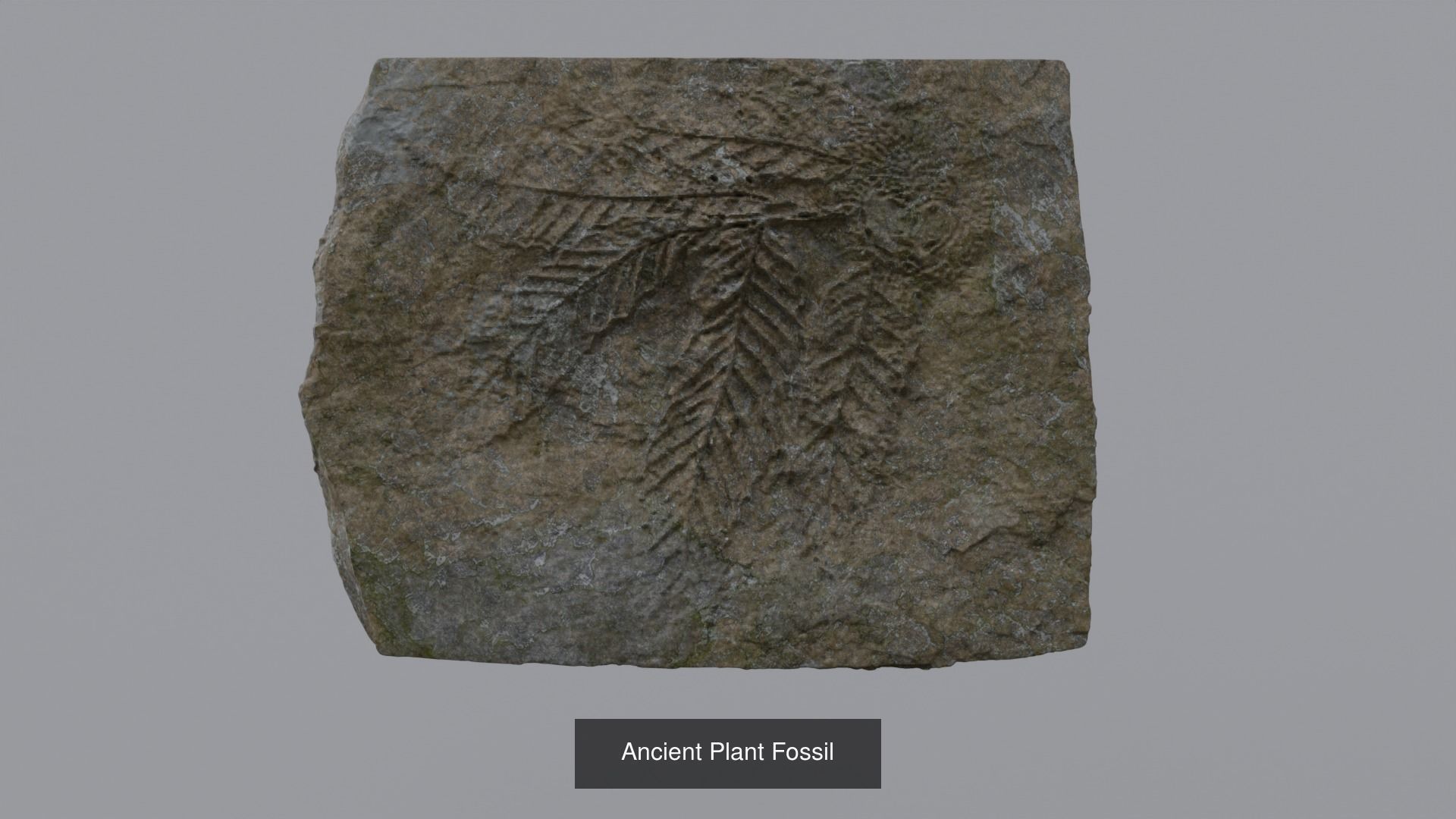 Archeology and Ancient History 3D Model Collection_4