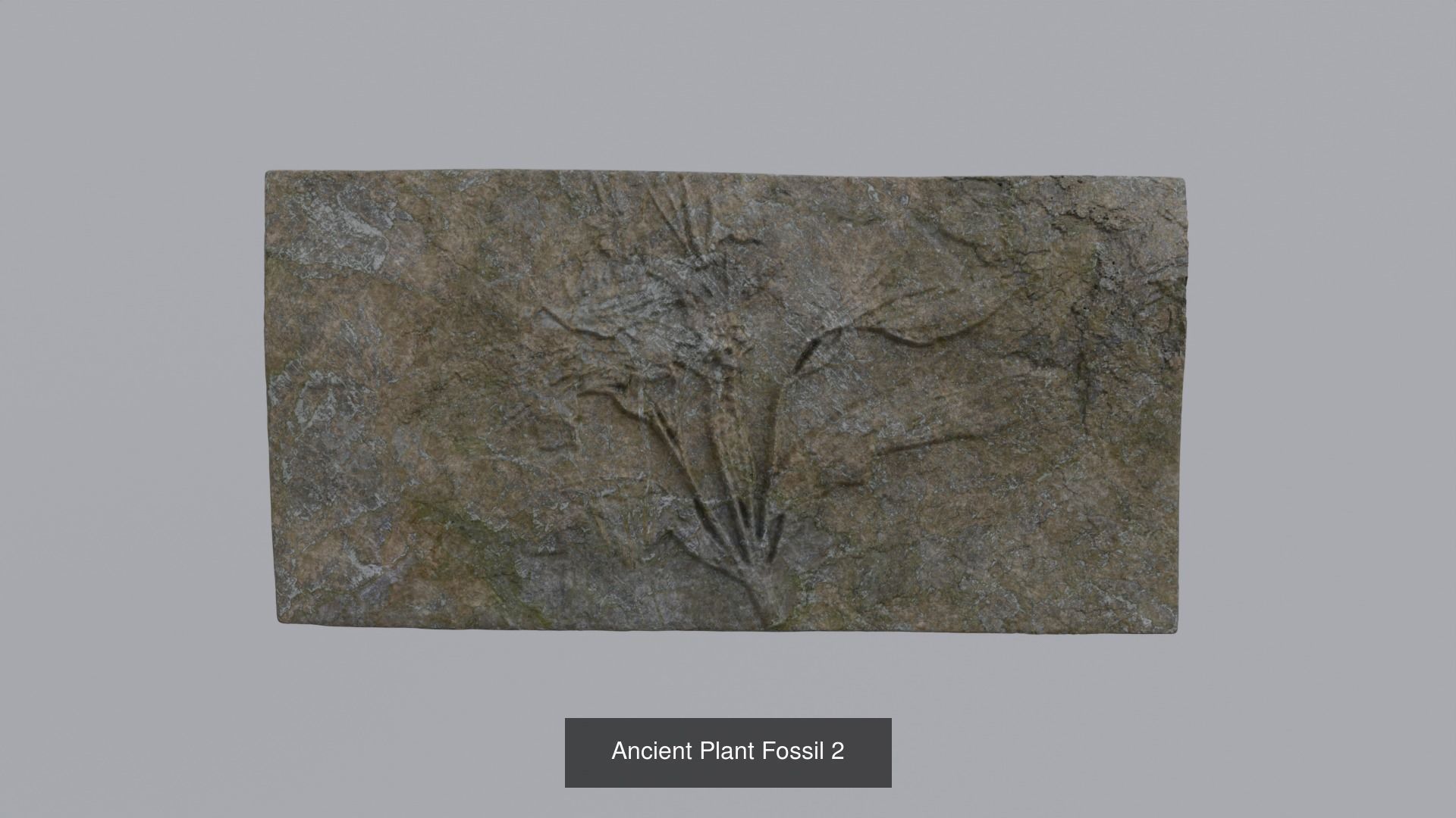 Archeology and Ancient History 3D Model Collection_2