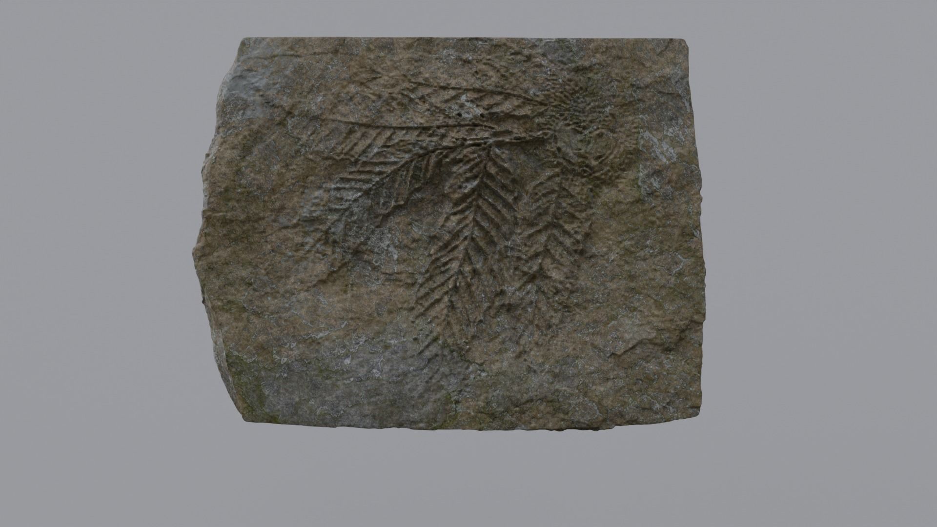 Archeology and Ancient History 3D Model Collection_21