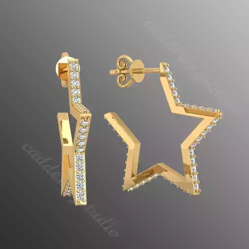 Earrings  ri12 3D print model