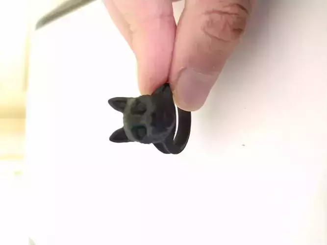 Cat head ring - 3D printer ready