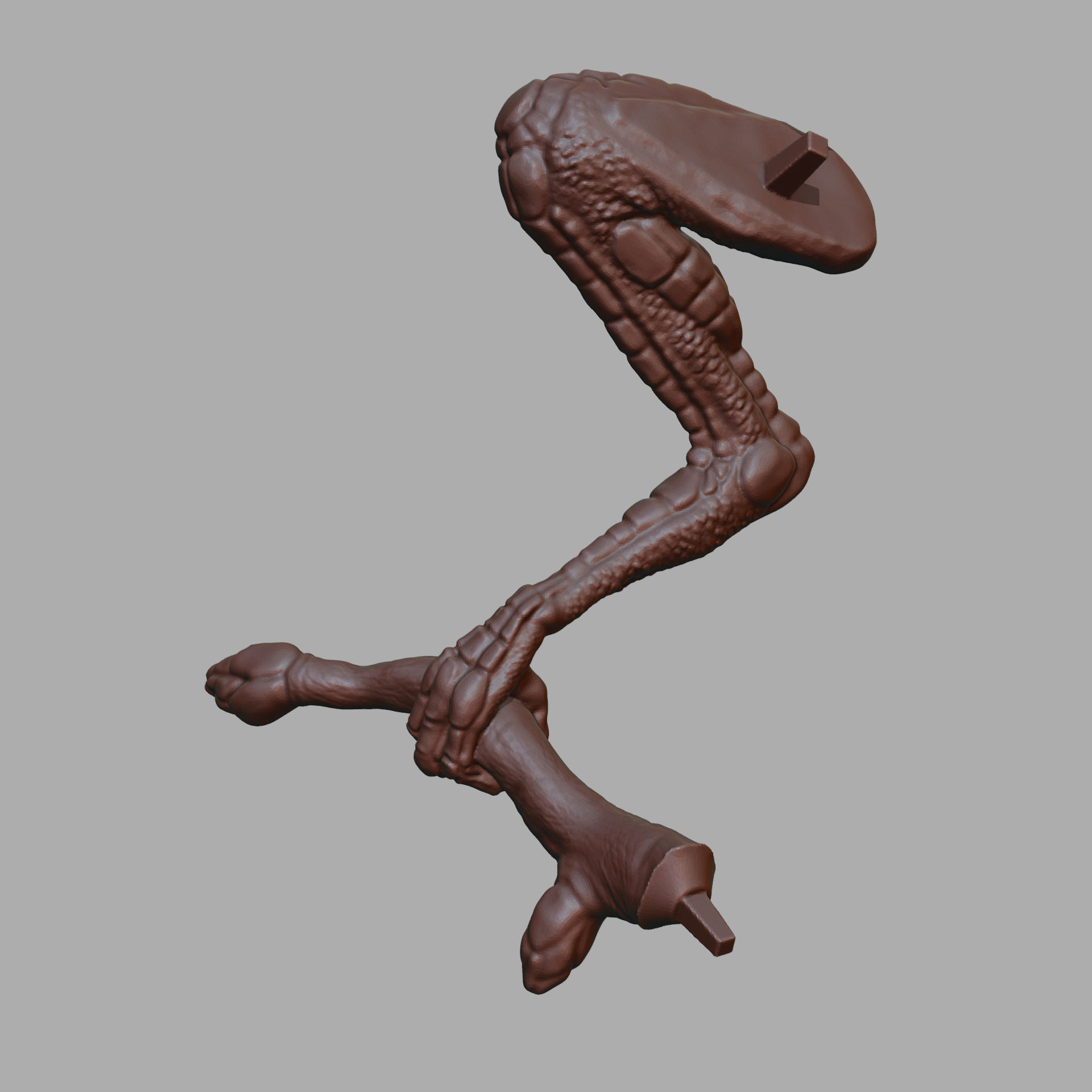 Dragon-Fly - Original Artwork for 3D Printing 3D print model_12