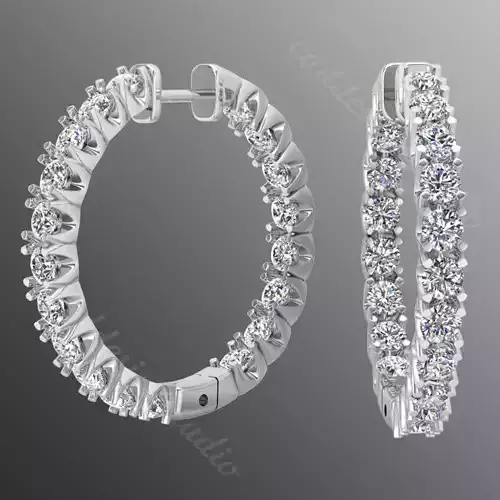 Earrings ri20
