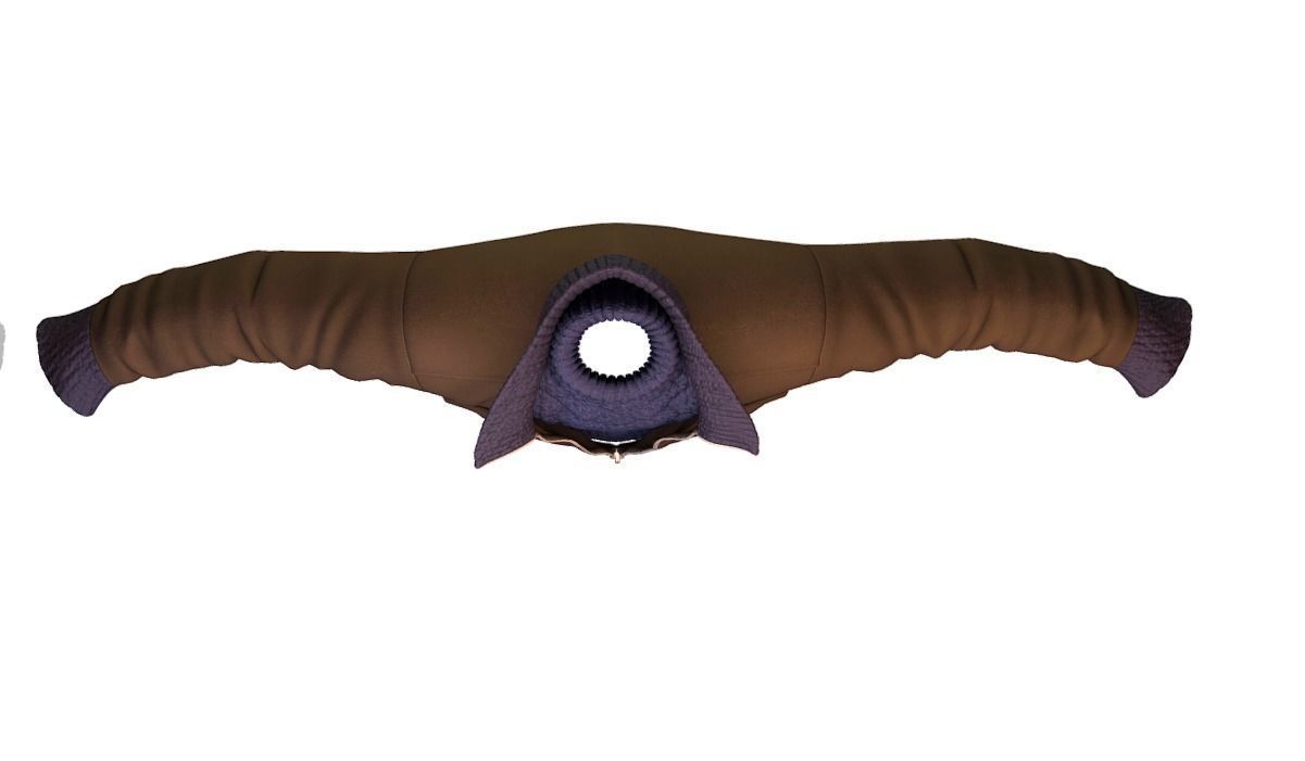 Cartoon High Poly Subdivision Brown Jaket 3D Model Low-poly 3D model_2