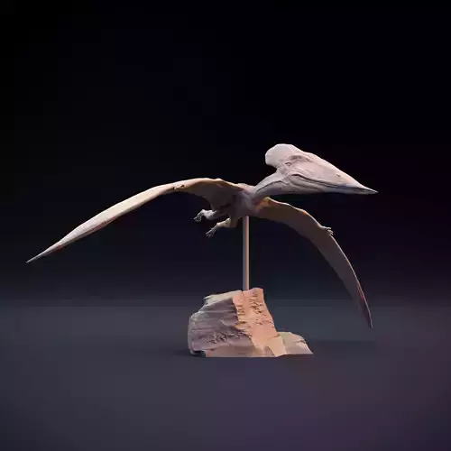 Tupuxuara flying 3D print model