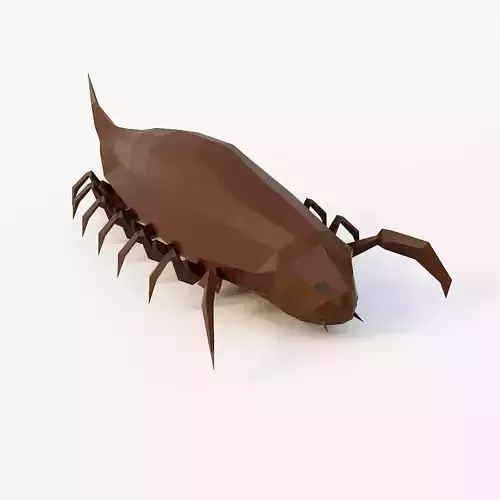 Woodlouse Bug 3d model 