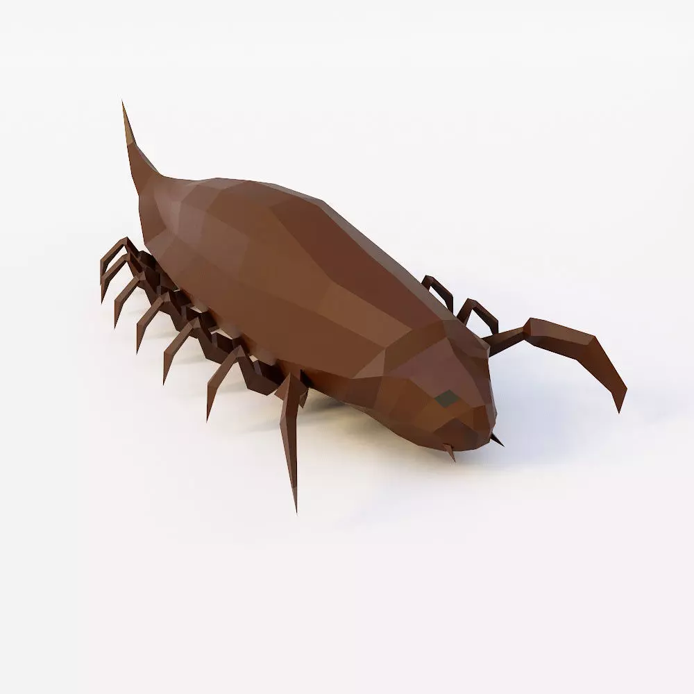 Woodlouse Bug 3d model Low-poly 3D model