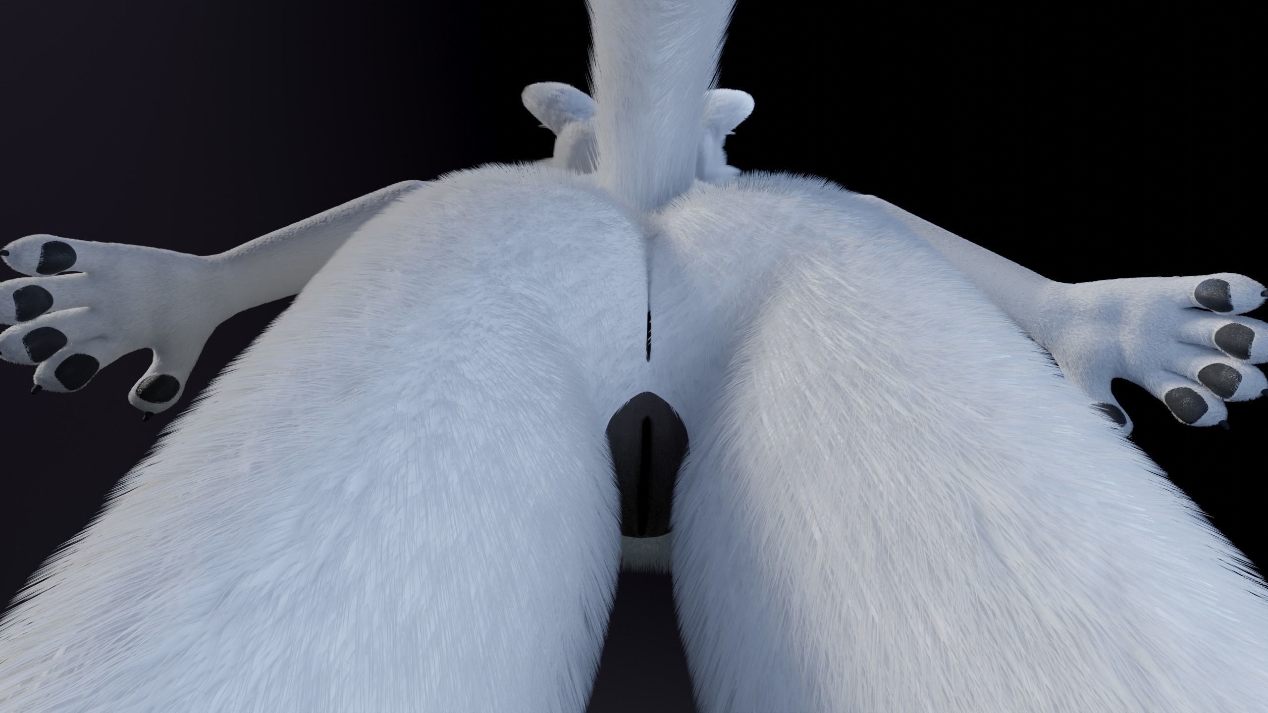 Sophia Anthro Arctic Fox 3D model_16
