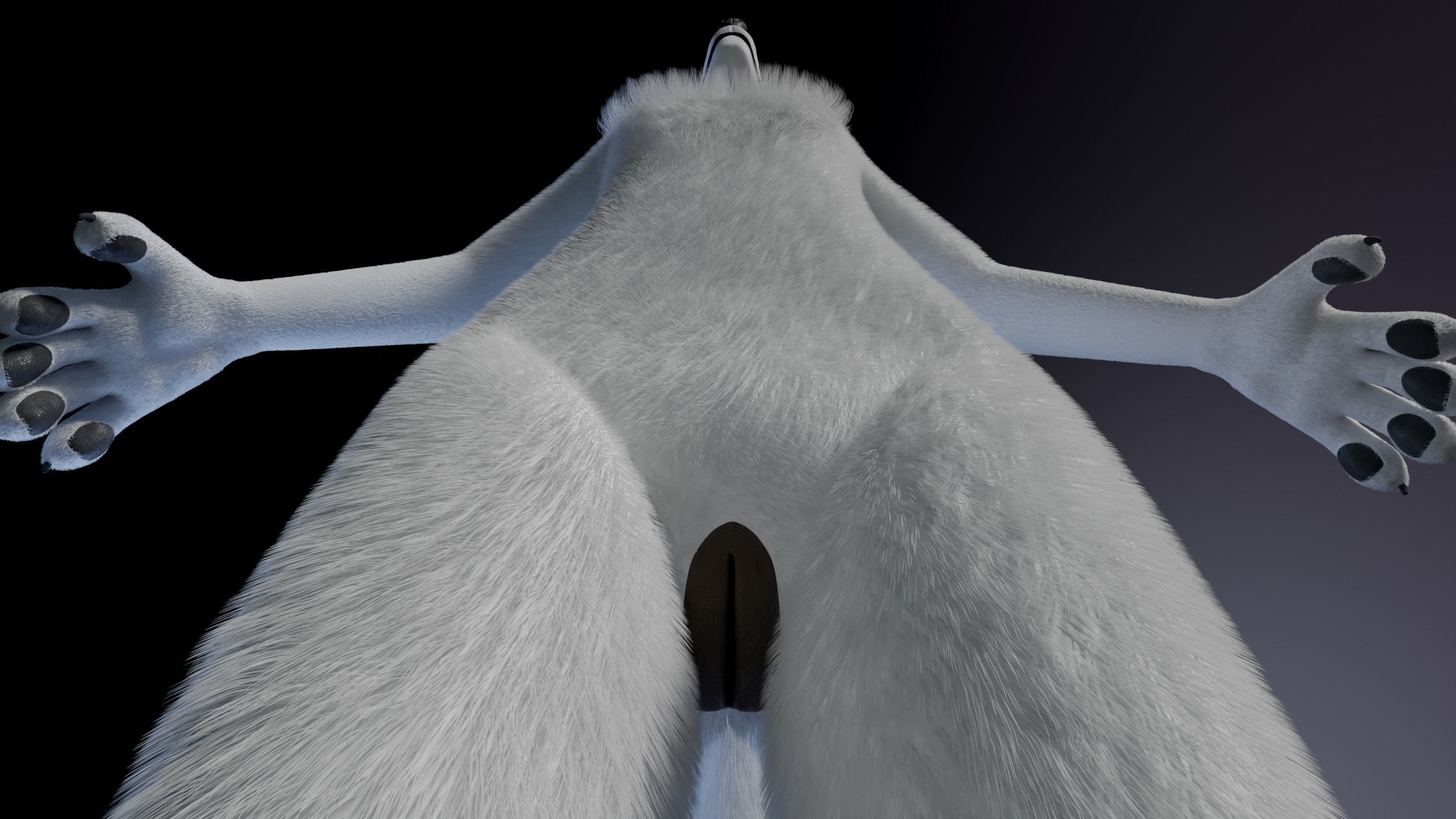 Sophia Anthro Arctic Fox 3D model_15