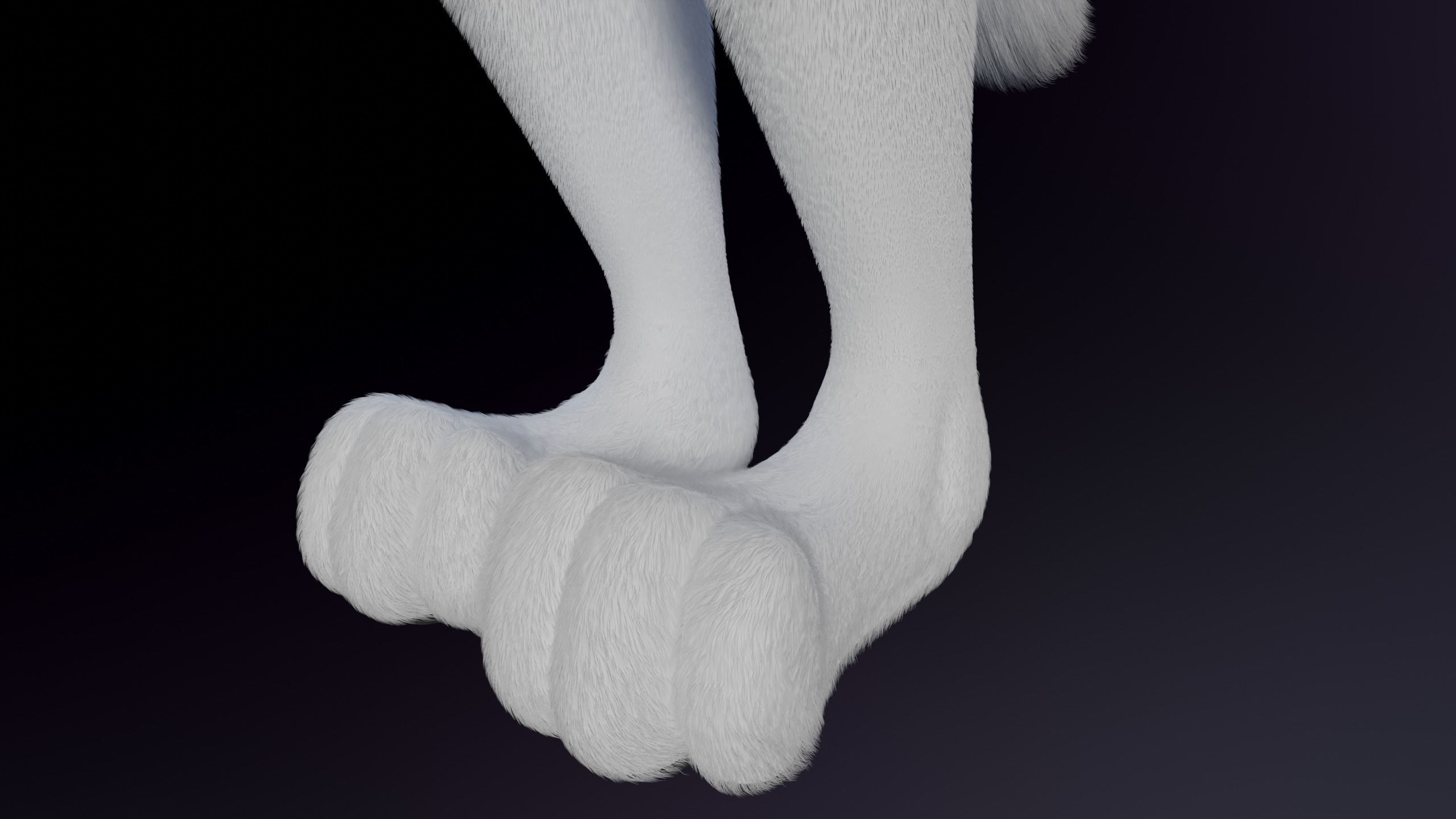 Sophia Anthro Arctic Fox 3D model_13