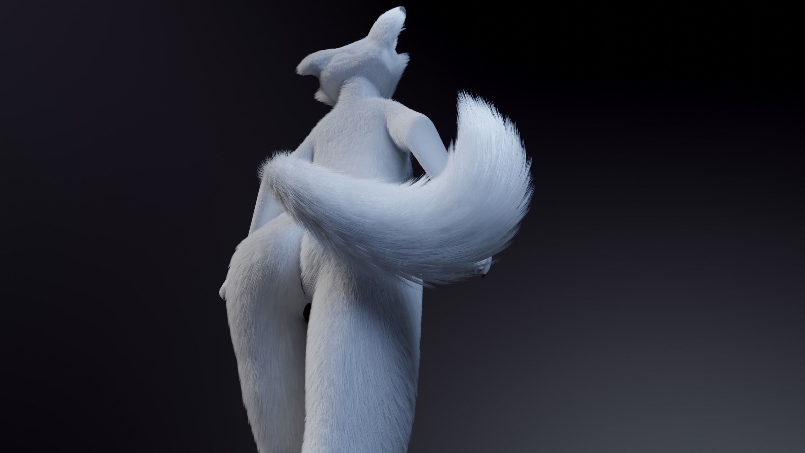 Sophia Anthro Arctic Fox 3D model_21