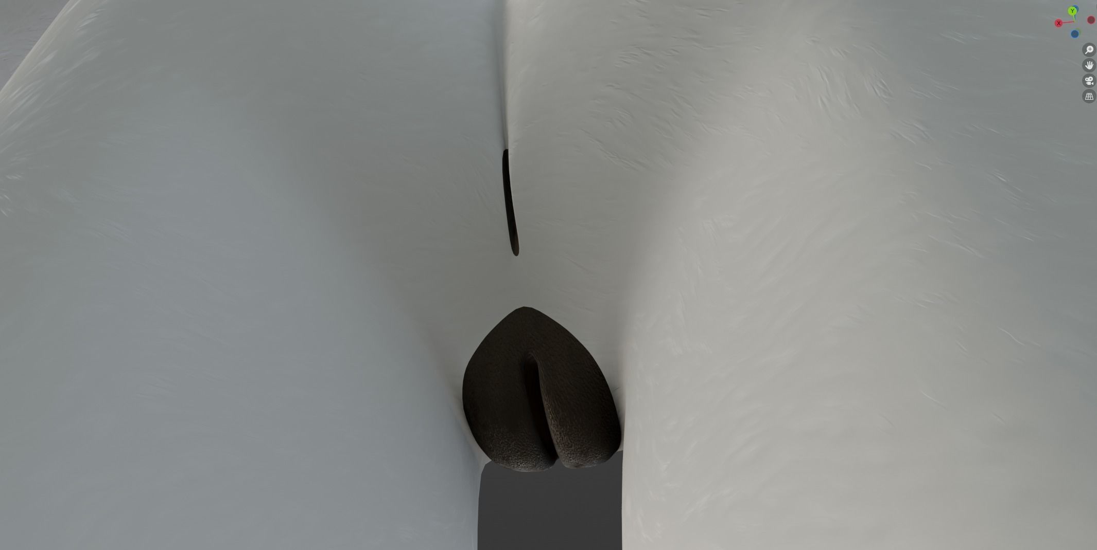 Sophia Anthro Arctic Fox 3D model_51