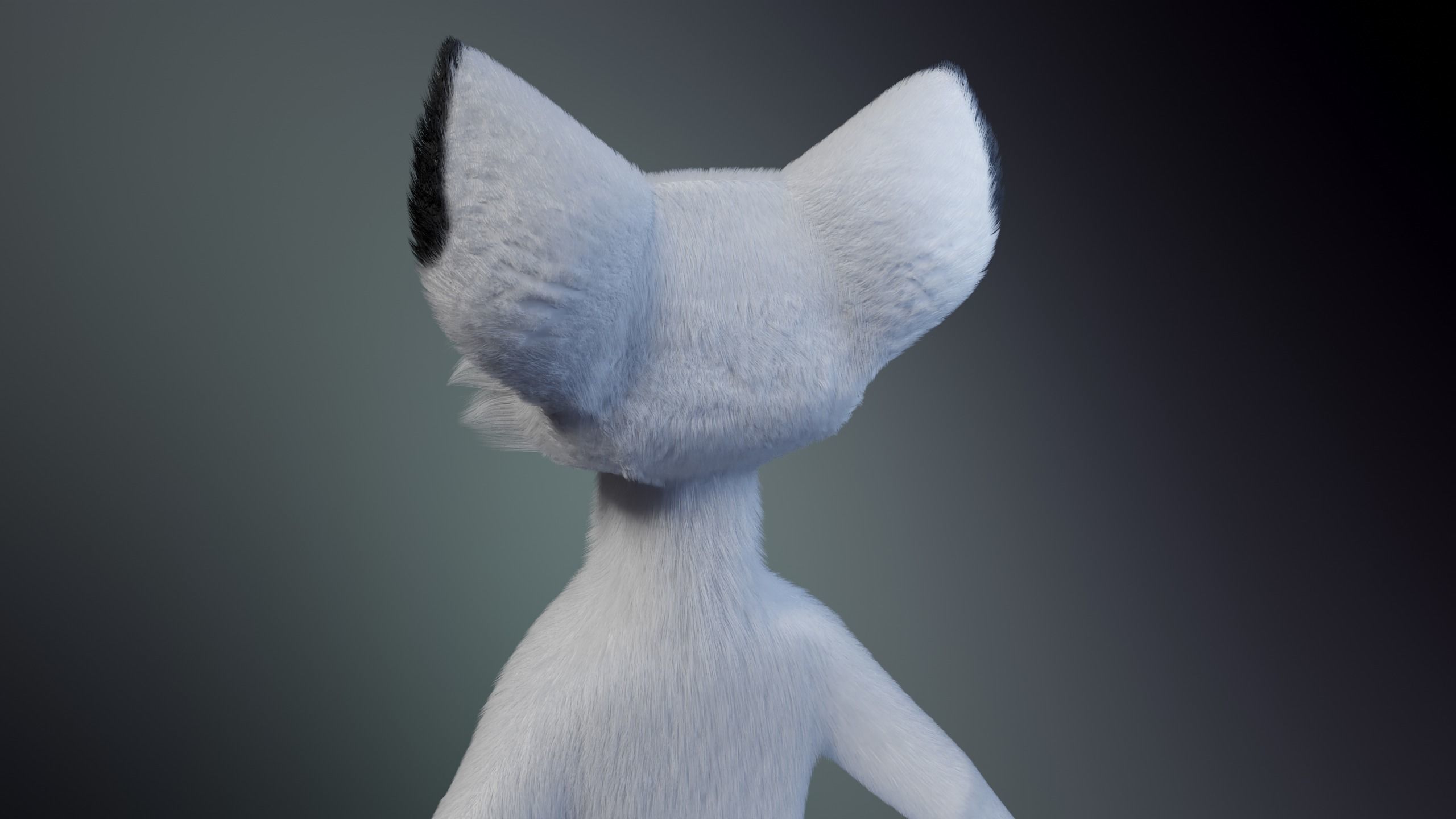 Sophia Anthro Arctic Fox 3D model_5