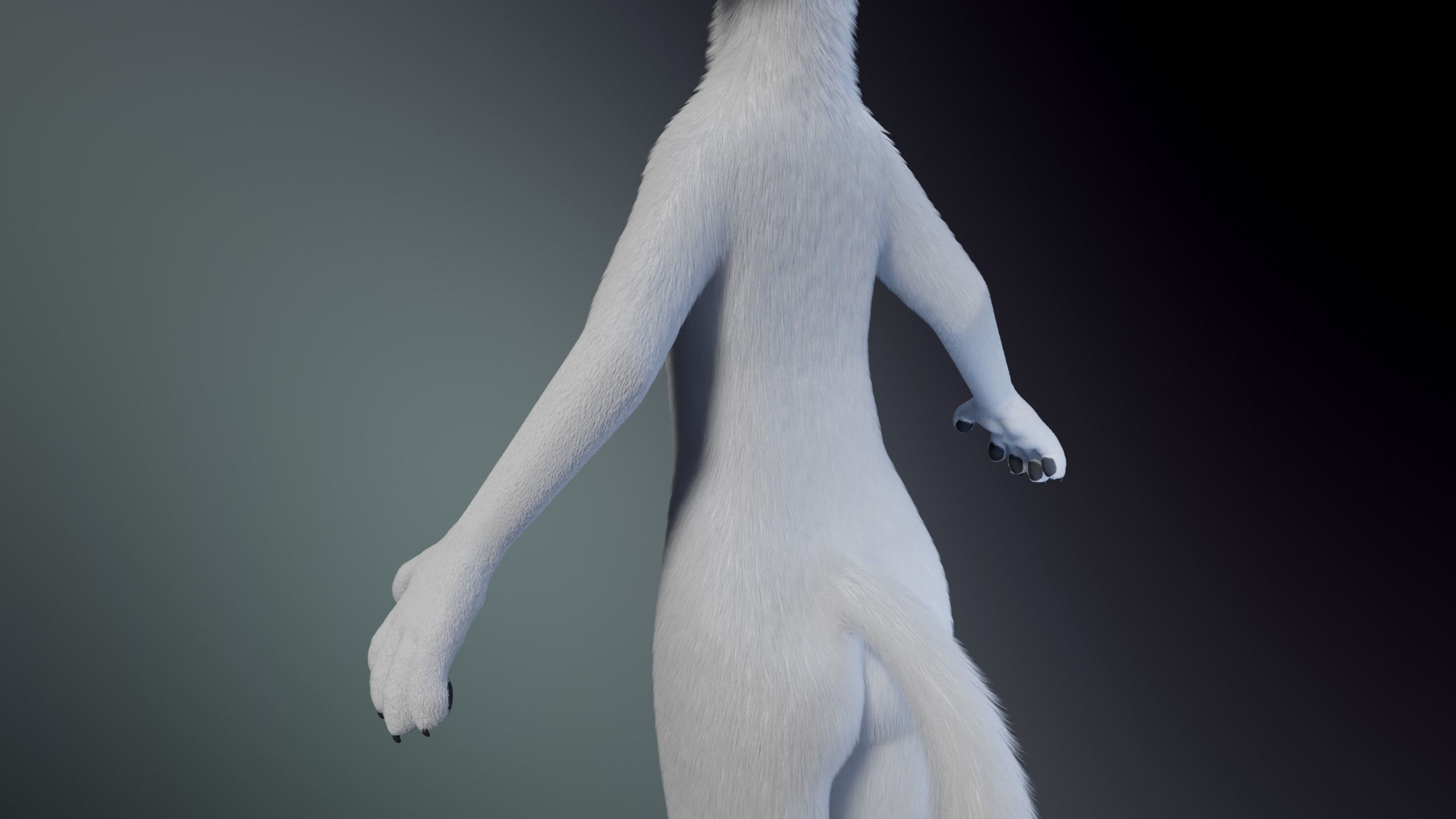 Sophia Anthro Arctic Fox 3D model_7