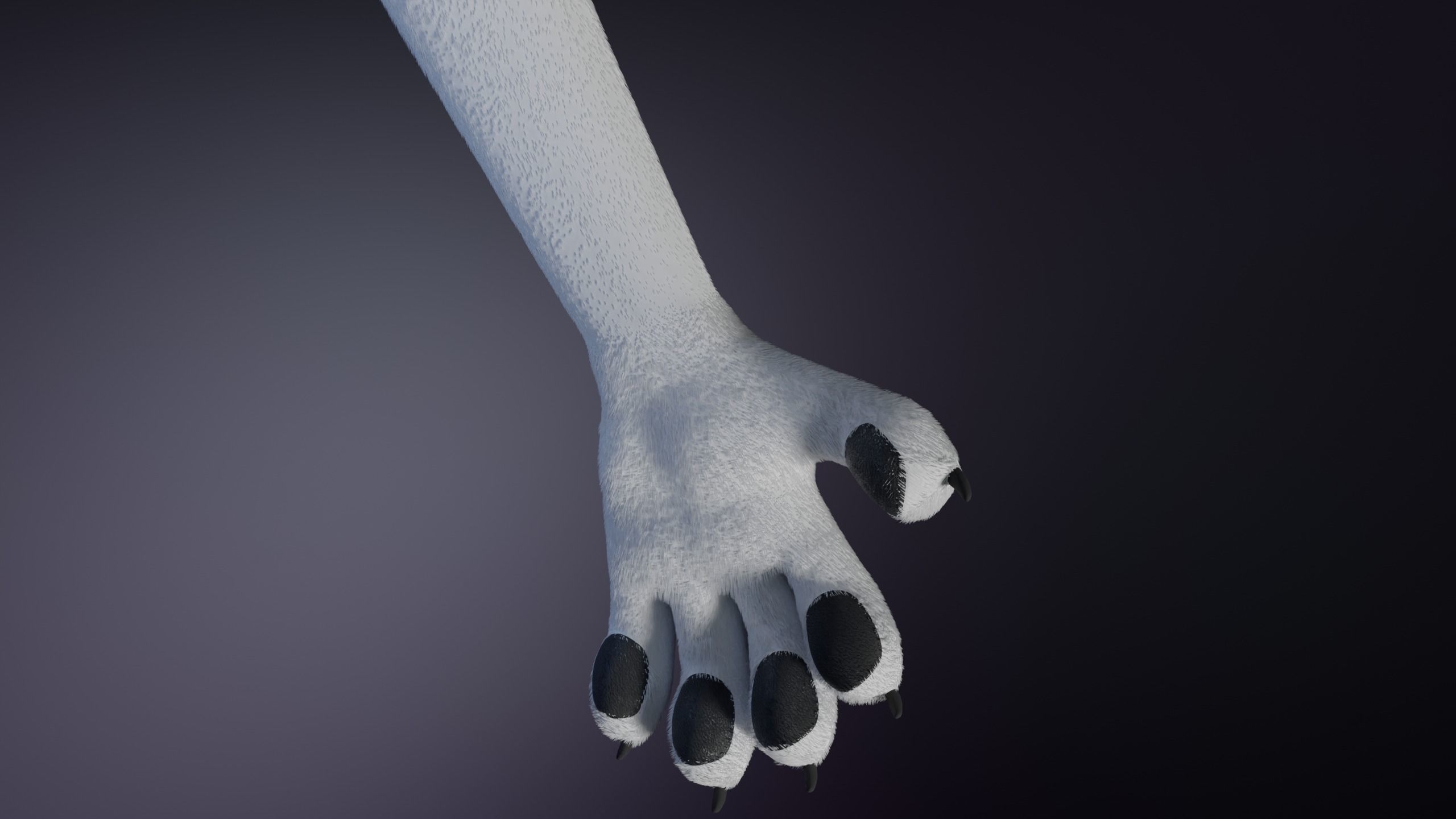 Sophia Anthro Arctic Fox 3D model_12