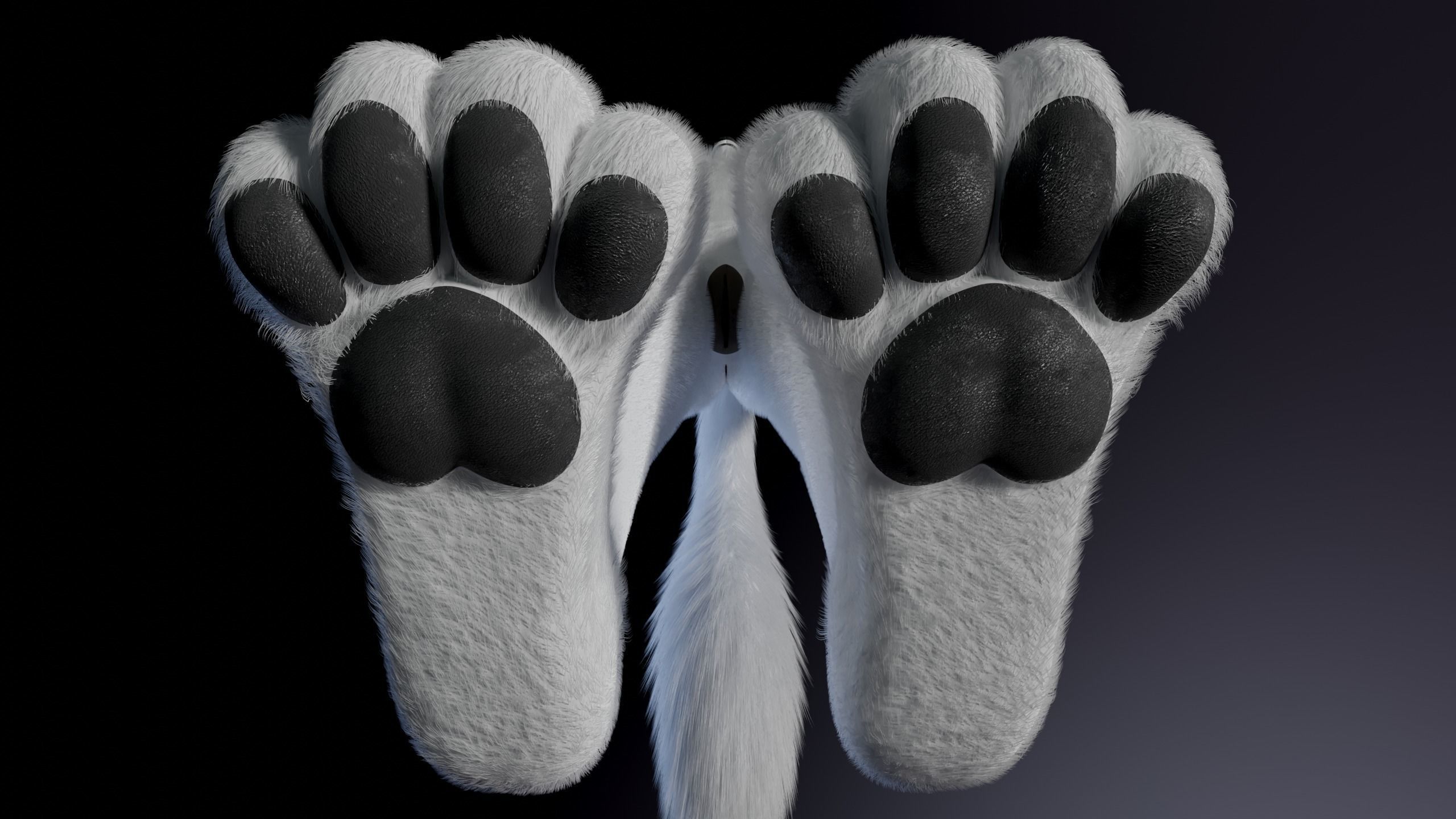 Sophia Anthro Arctic Fox 3D model_14