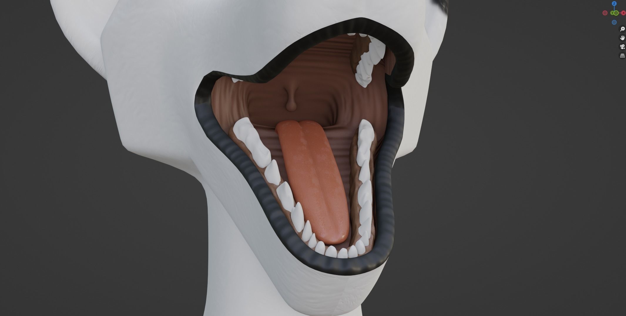 Sophia Anthro Arctic Fox 3D model_82