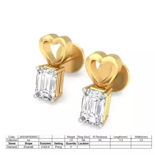Earrings - ER055