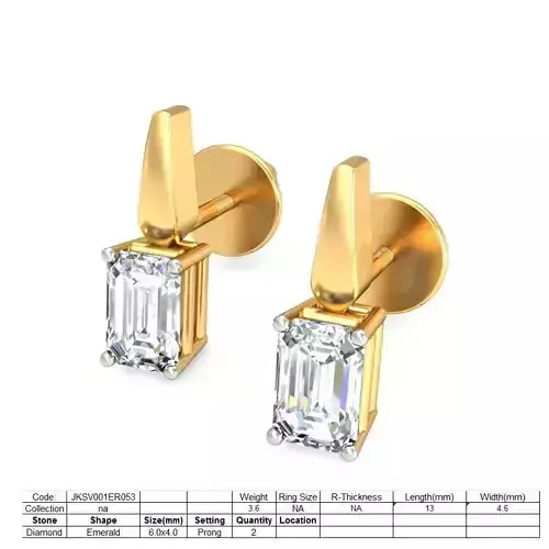 Earrings - ER053