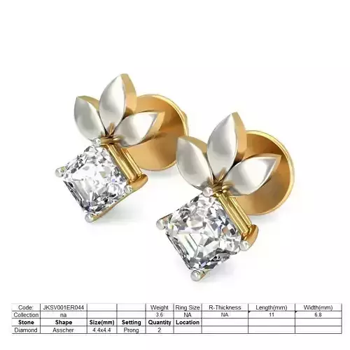 Earrings - ER044