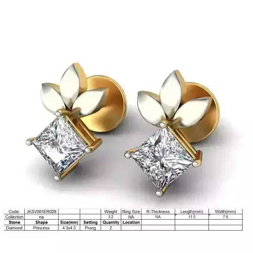 Earrings - ER029