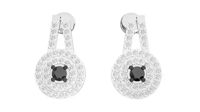 Earrings - 3751