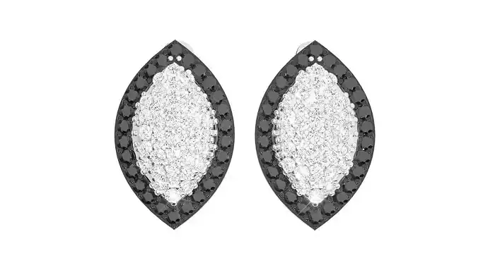 Earrings - 3606