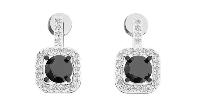 Earrings - 3602