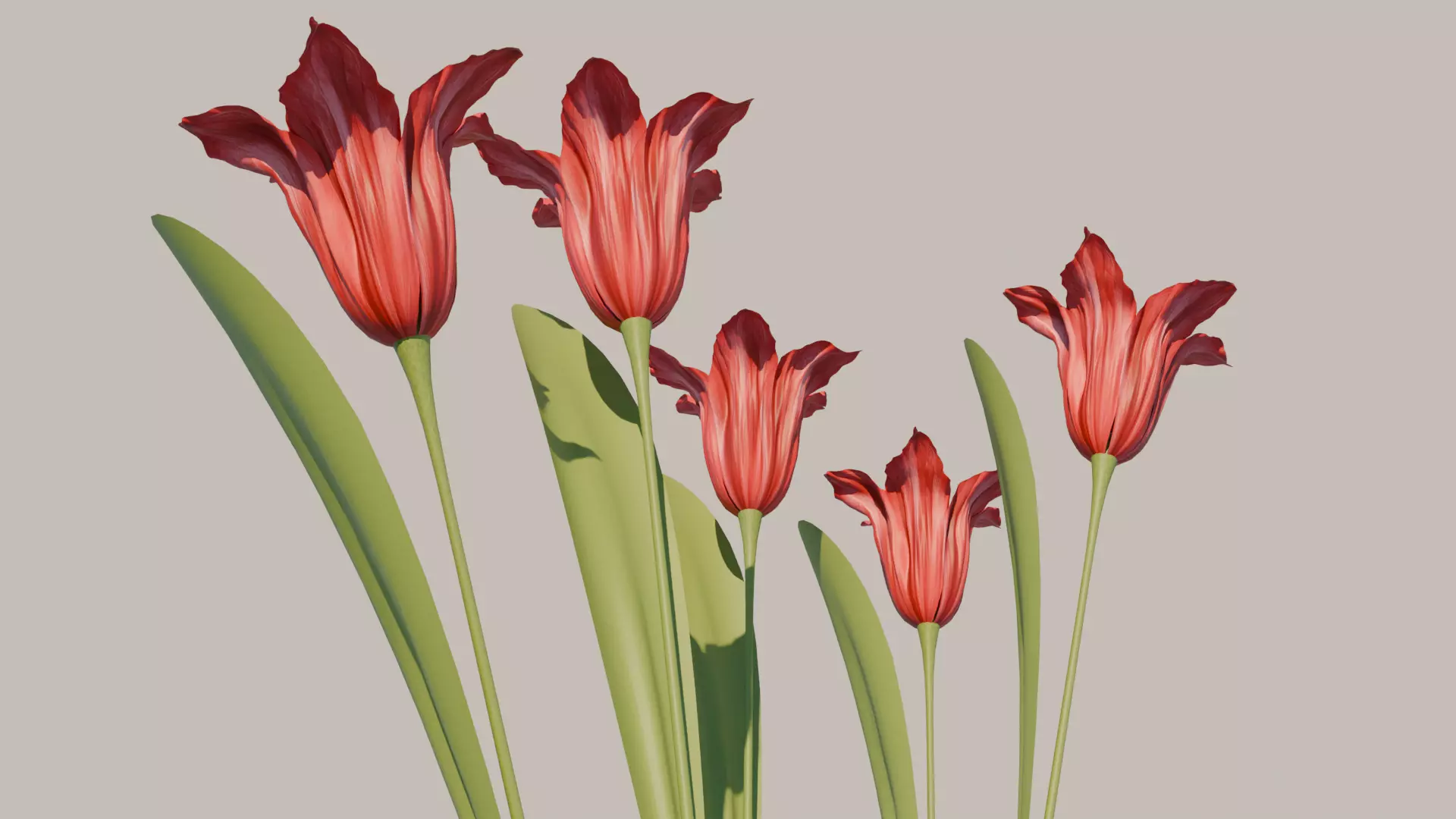 Red Flower 3D model_0