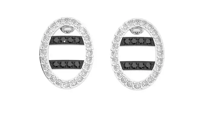 Earrings - 3398
