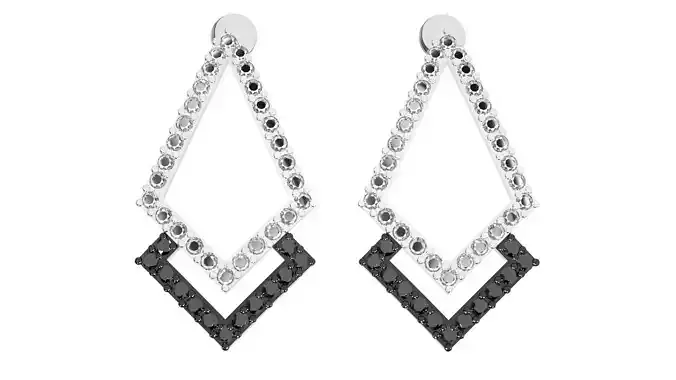Earrings - 3397