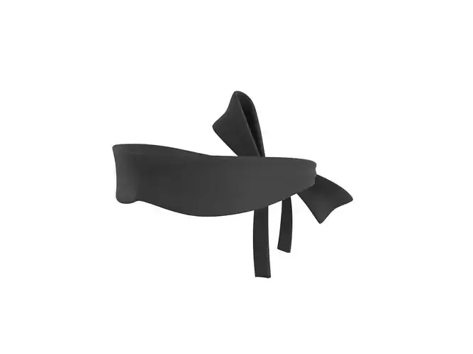 Prop115 Blindfold 3D model