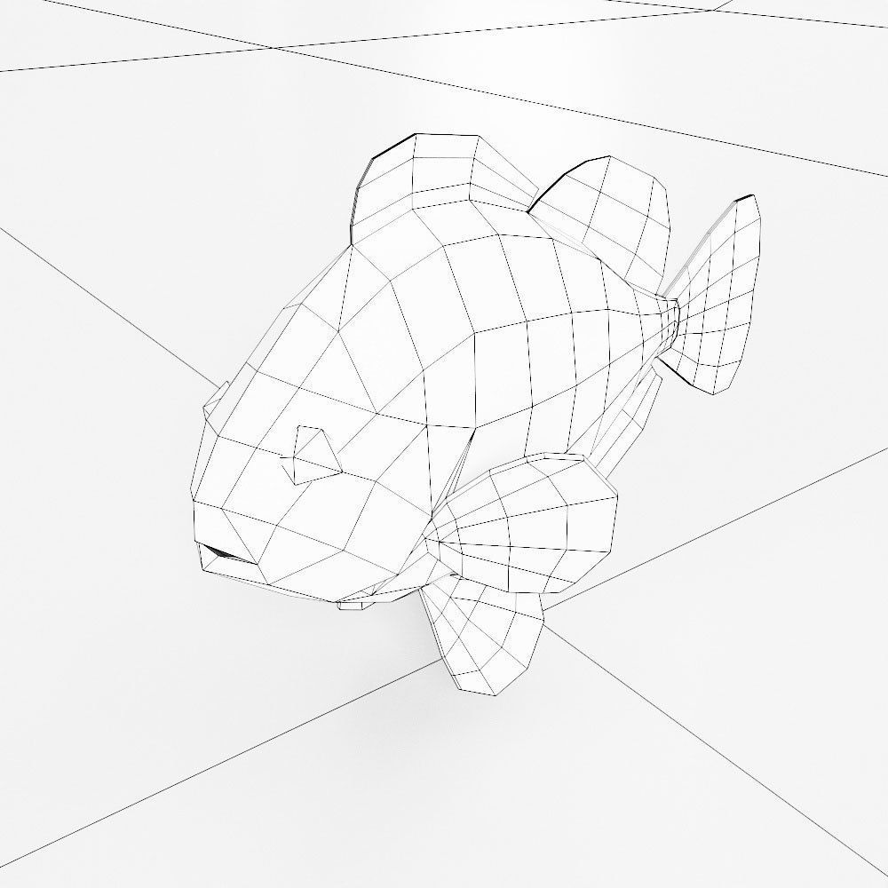 Anemone fish 3d model Low-poly 3D model_4
