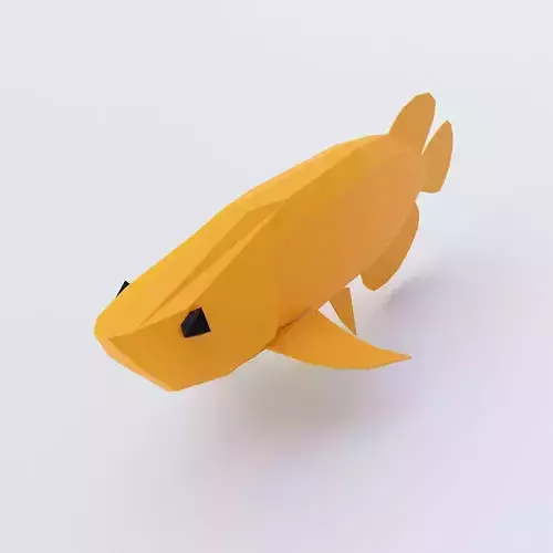 Asian arowana fish low poly 3d model 