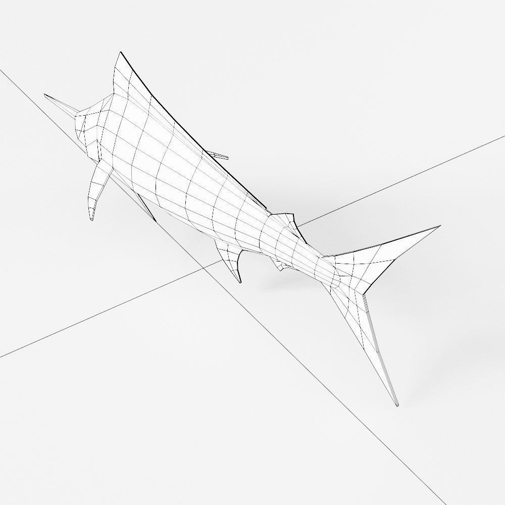 Atlantic blue marlin fish 3d model Low-poly 3D model_6