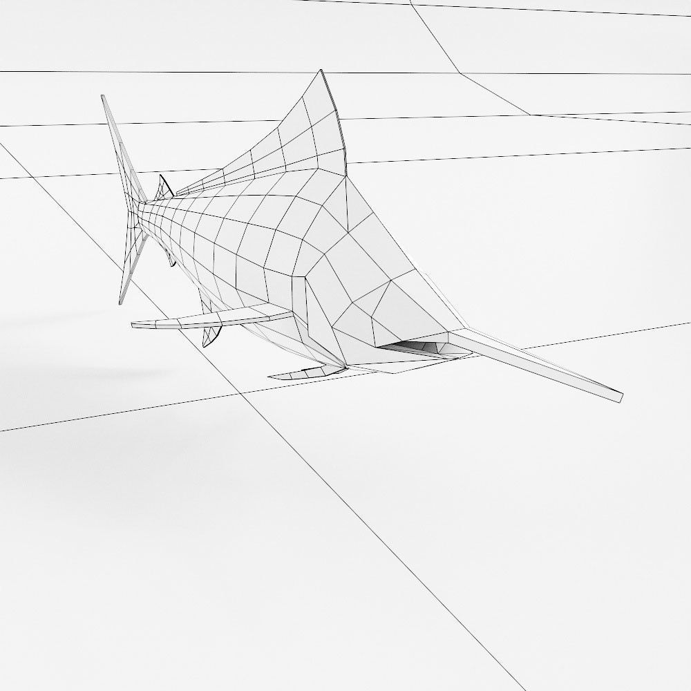 Atlantic blue marlin fish 3d model Low-poly 3D model_4