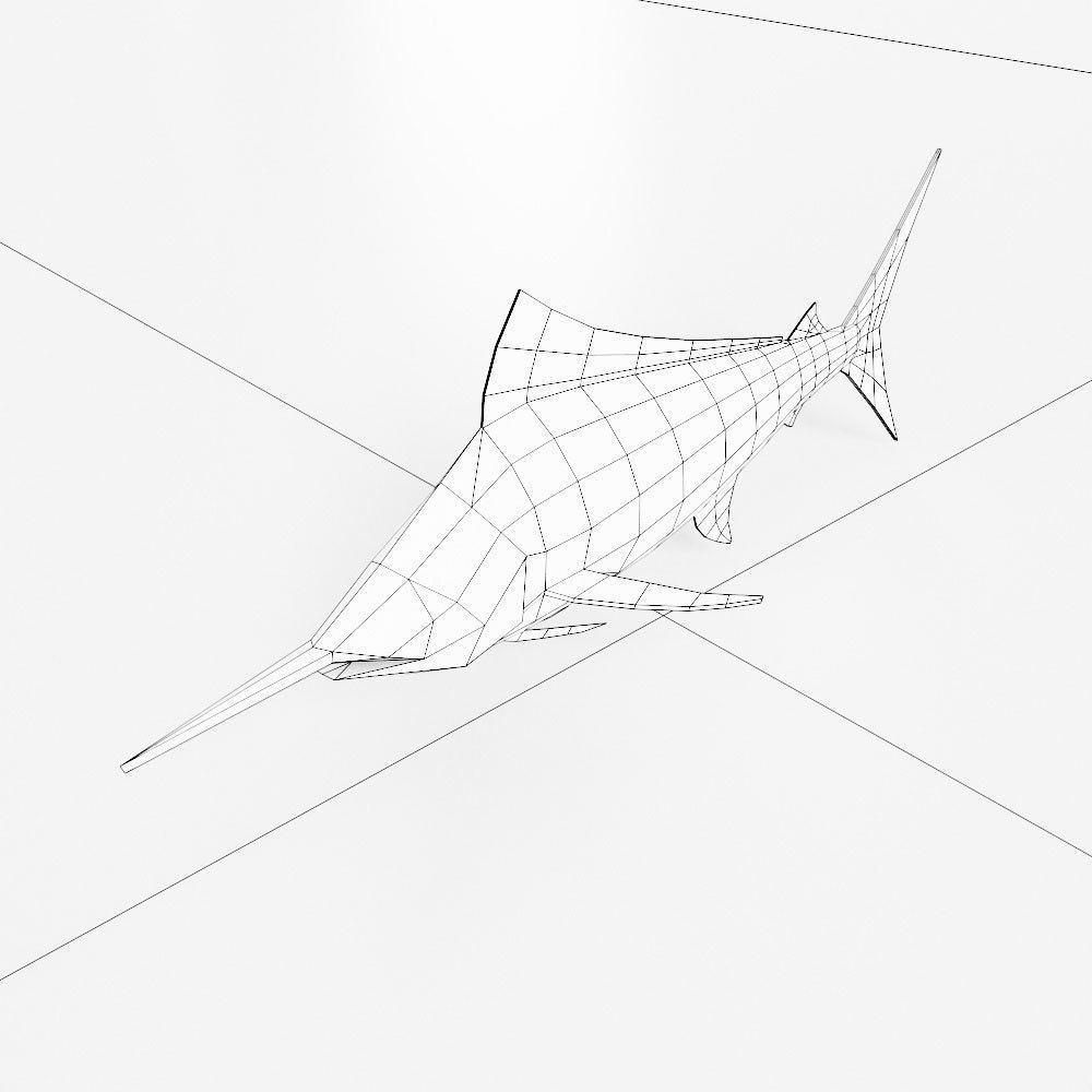 Atlantic blue marlin fish 3d model Low-poly 3D model_5