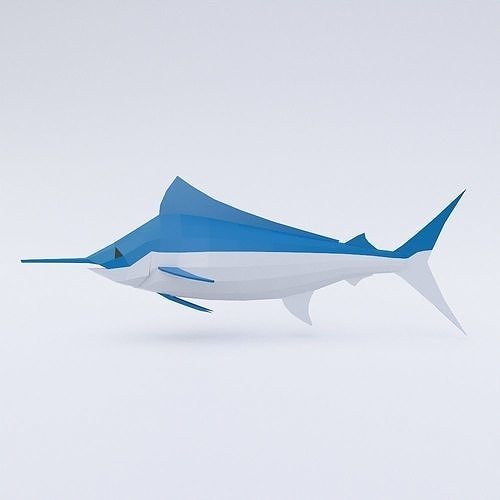 Atlantic blue marlin fish 3d model  Low-poly 3D model