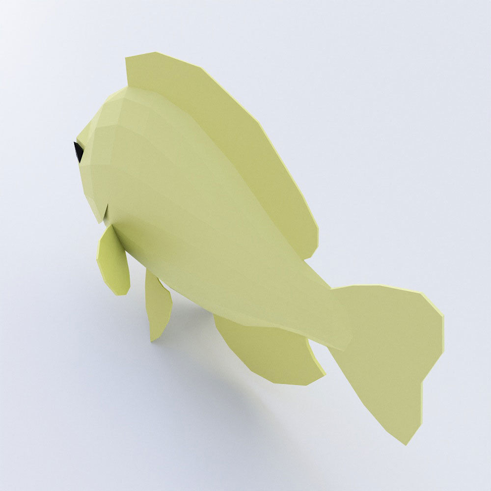 Bluegill fish low poly 3d model  Low-poly 3D model_2