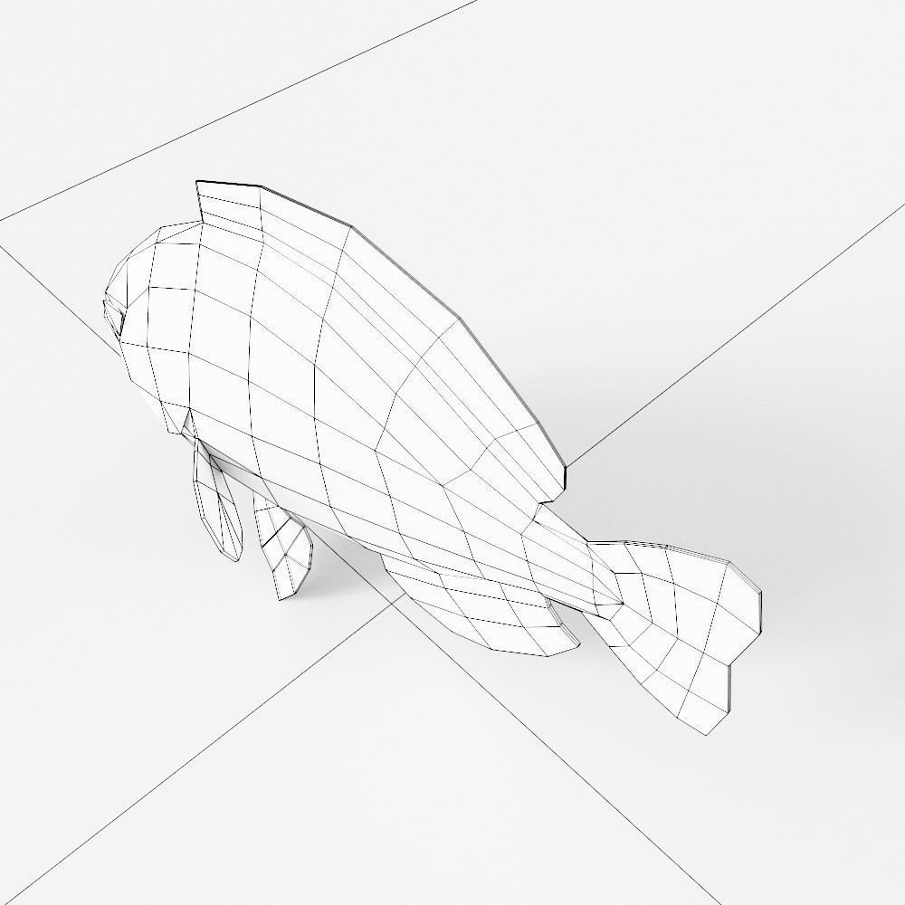 Bluegill fish low poly 3d model  Low-poly 3D model_4