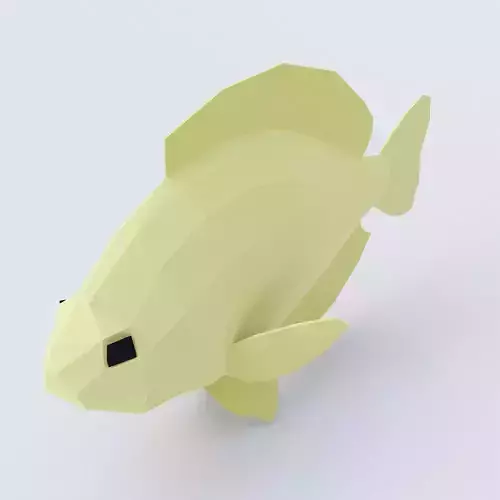 Bluegill fish low poly 3d model  Low-poly 3D model