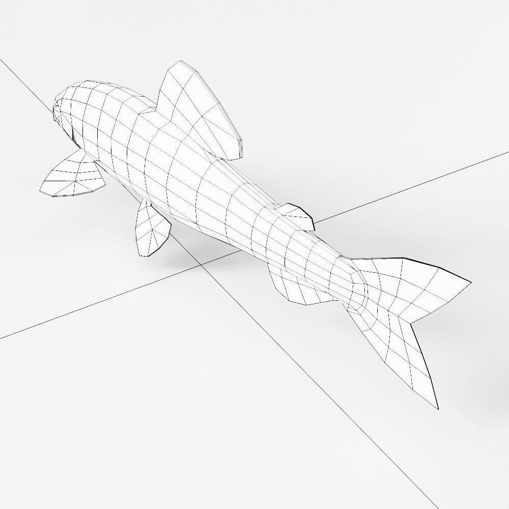 Brown trout fish 3d model  Low-poly 3D model_4