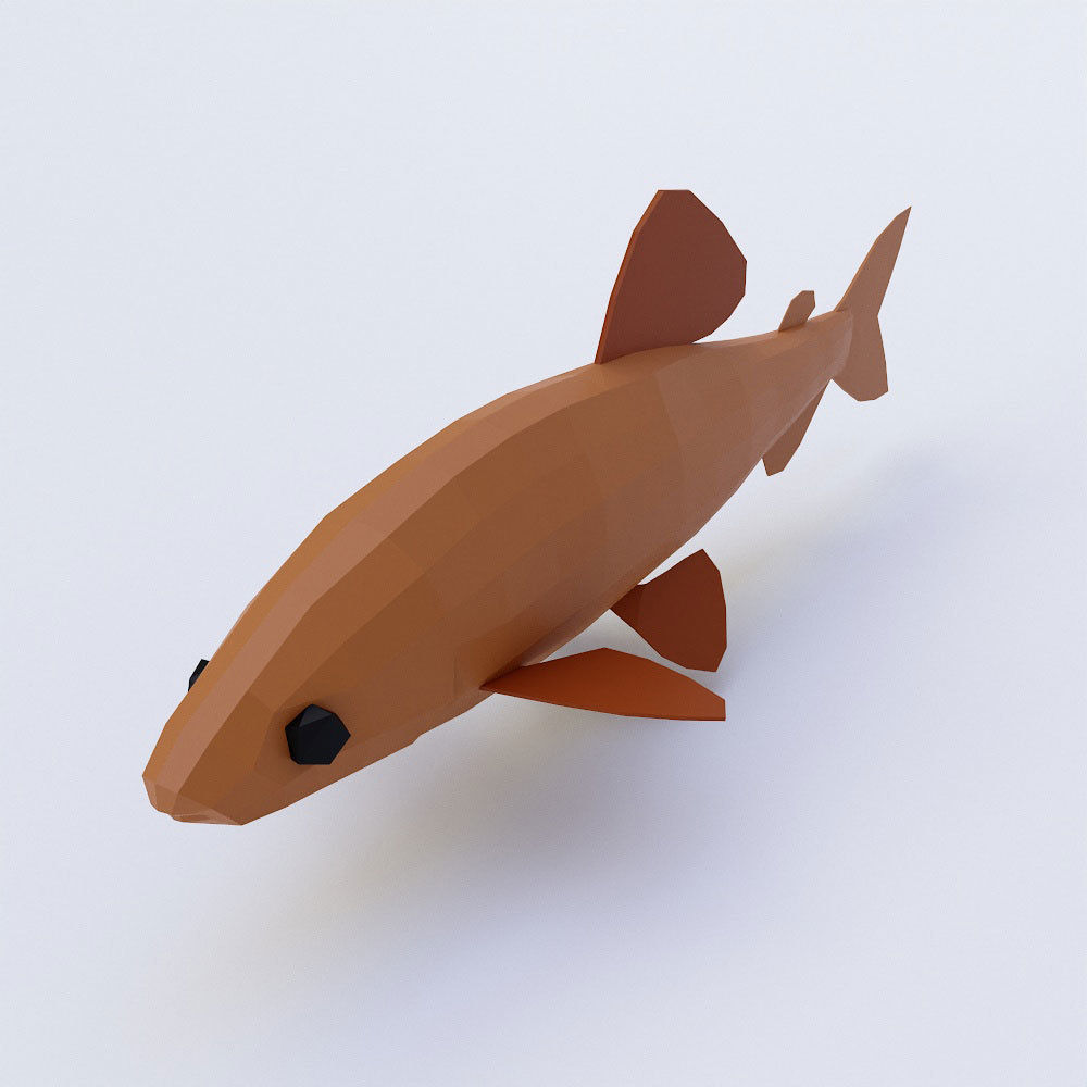 Brown trout fish 3d model  Low-poly 3D model_1