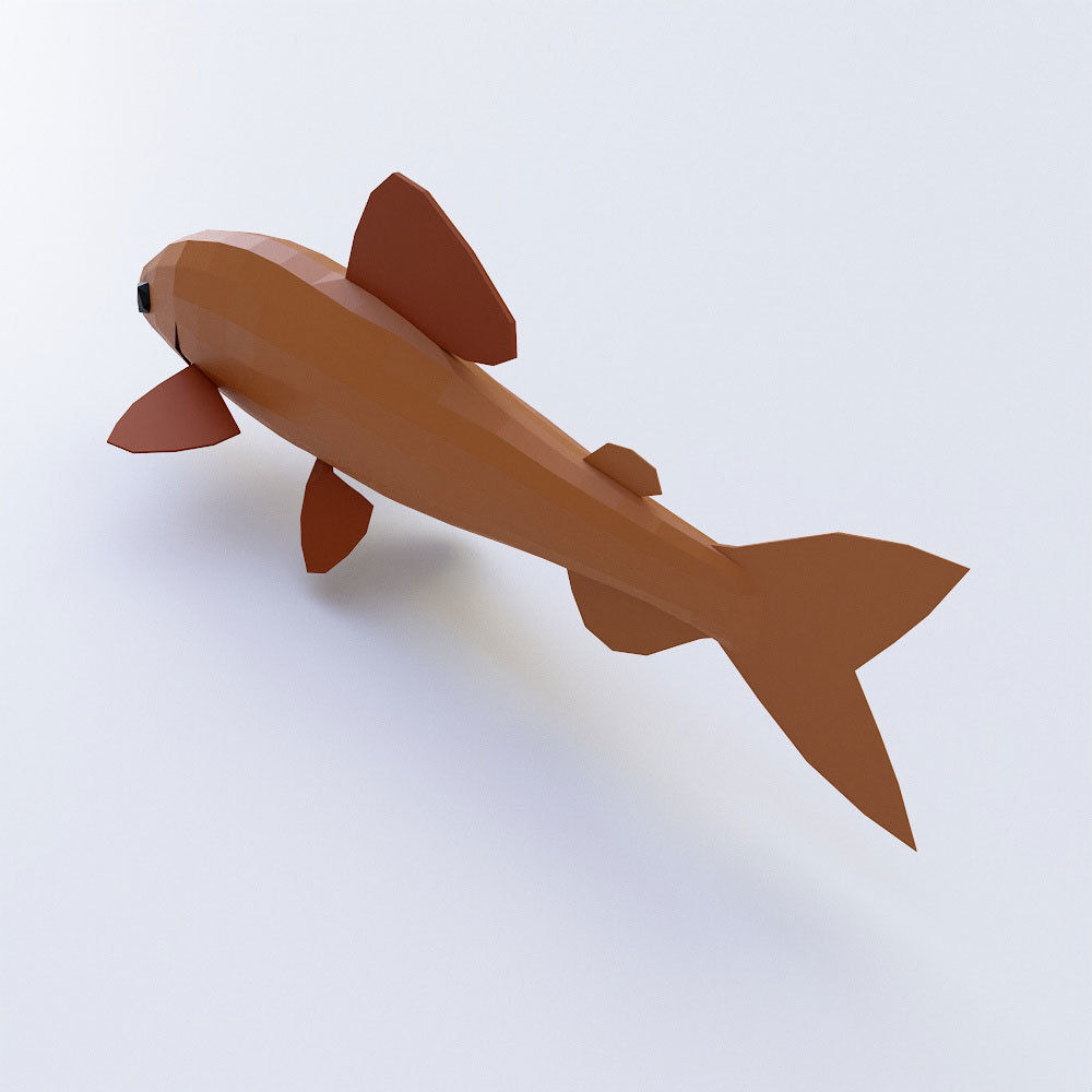 Brown trout fish 3d model  Low-poly 3D model_2