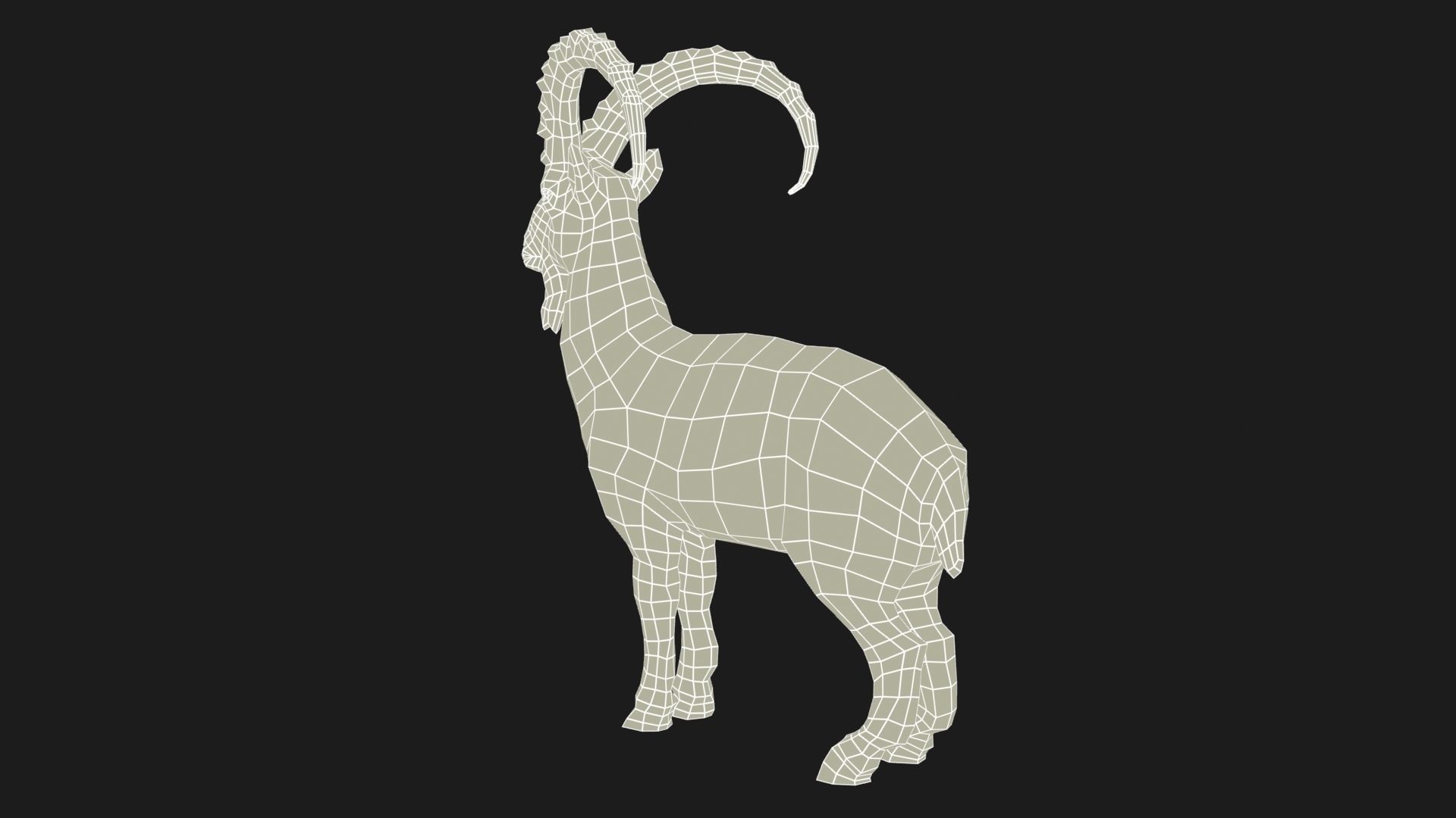 Alpine Ibex Low-poly 3D model_8
